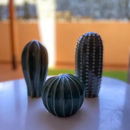 El Rincon Del Cangrejo * 코라레호