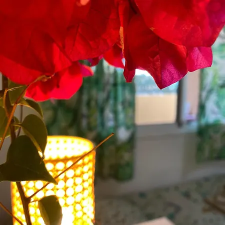 El Rincon Del Cangrejo 코라레호