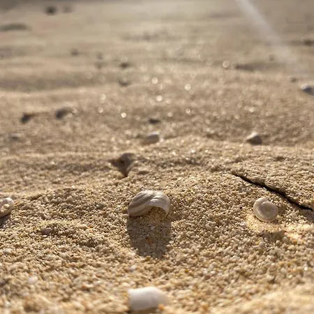 El Rincon Del Cangrejo * 코라레호