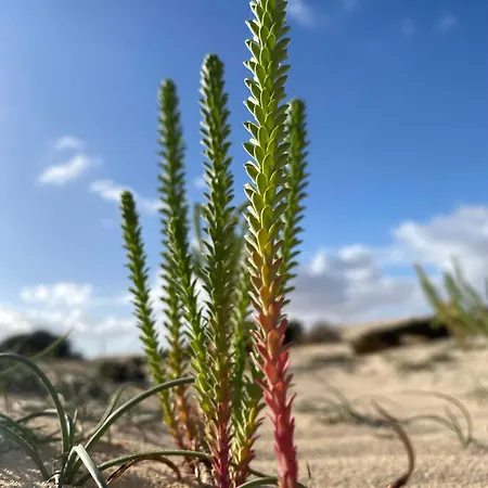 아파트 El Rincon Del Cangrejo *