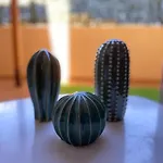 El Rincon Del Cangrejo * Corralejo